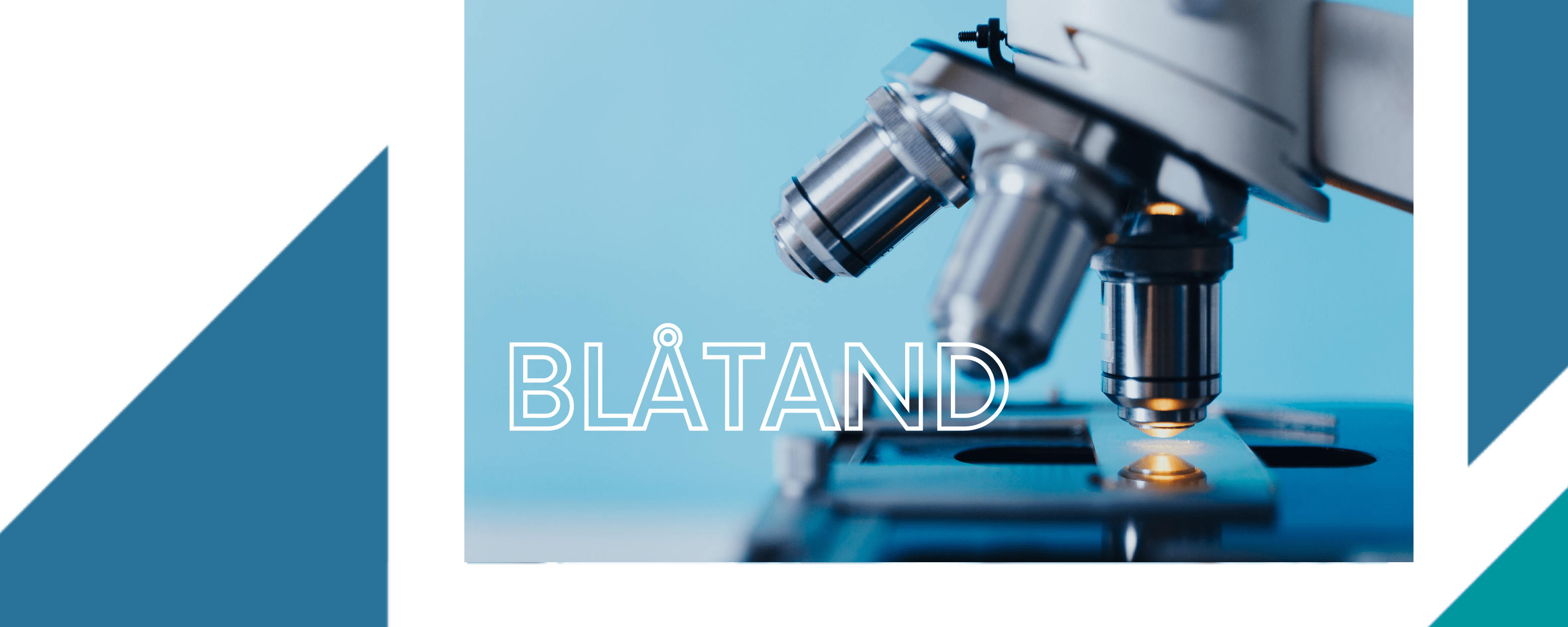 Blåtand - sciences - Institut français du Danemark 