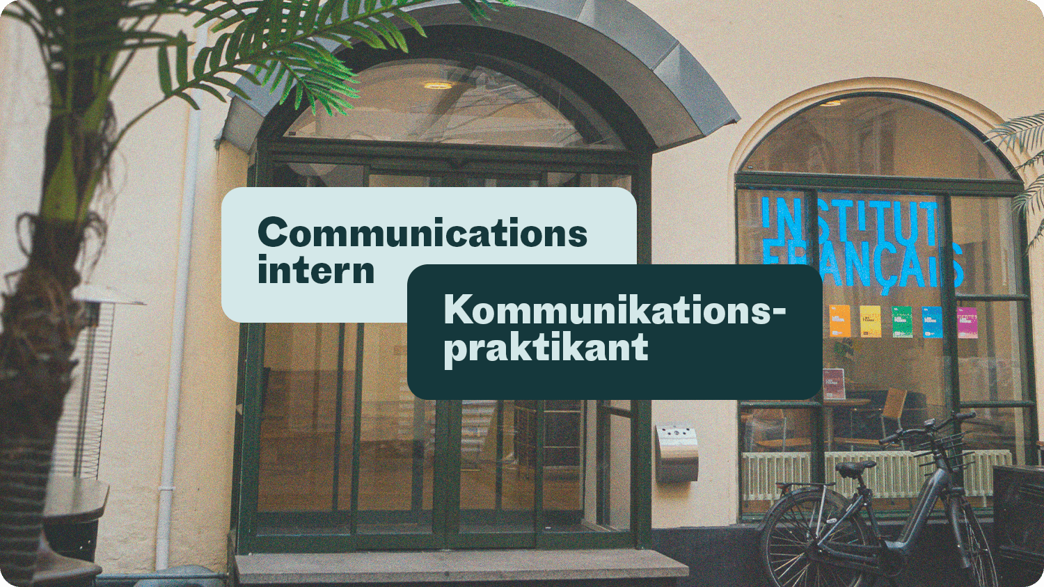 Communications intern